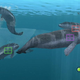 Illustration for article titled Taking A Dip In Endless Ocean 2 Screenshots